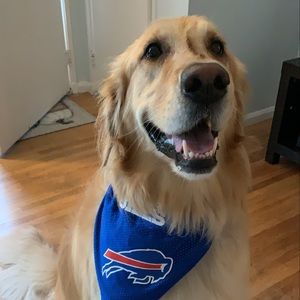 Meet your Posher, Evan